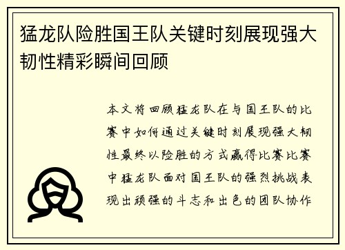 猛龙队险胜国王队关键时刻展现强大韧性精彩瞬间回顾
